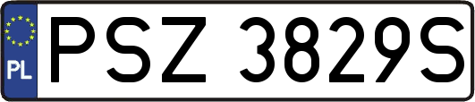 PSZ3829S
