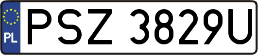 PSZ3829U