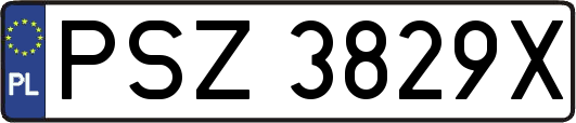 PSZ3829X