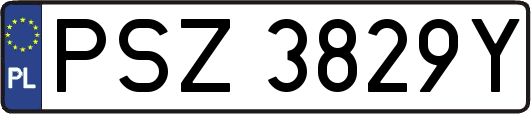 PSZ3829Y