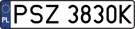 PSZ3830K