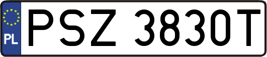 PSZ3830T