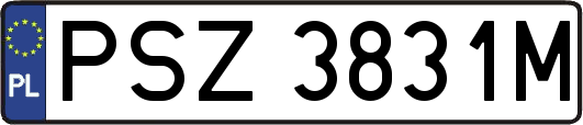 PSZ3831M