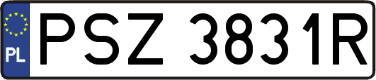 PSZ3831R