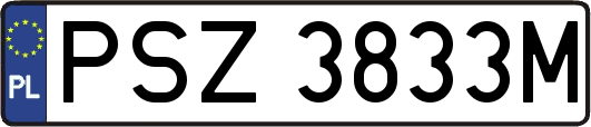 PSZ3833M