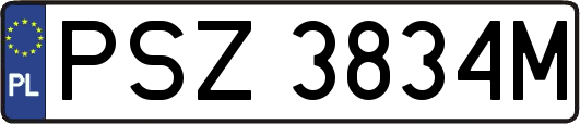 PSZ3834M