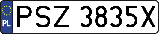PSZ3835X