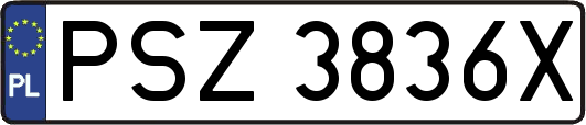 PSZ3836X