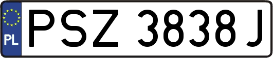 PSZ3838J