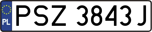 PSZ3843J