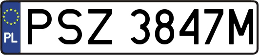 PSZ3847M