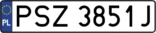 PSZ3851J
