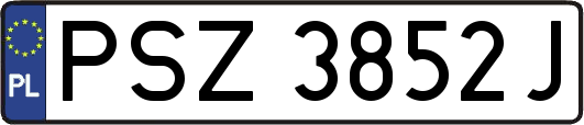 PSZ3852J