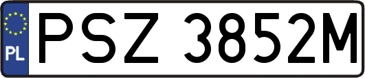 PSZ3852M
