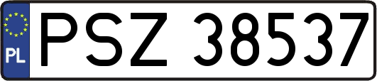 PSZ38537