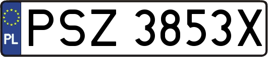 PSZ3853X