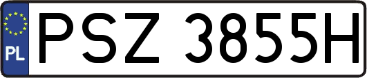 PSZ3855H