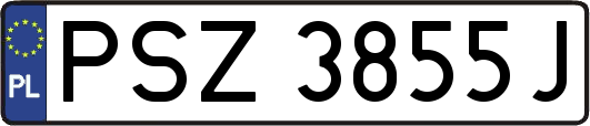 PSZ3855J