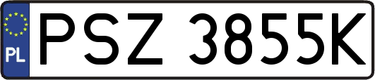 PSZ3855K