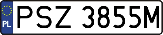 PSZ3855M