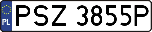 PSZ3855P