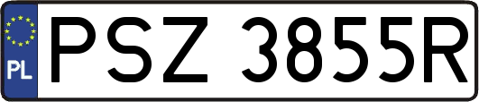 PSZ3855R