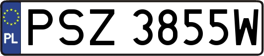 PSZ3855W