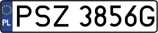PSZ3856G
