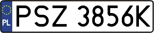PSZ3856K