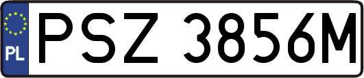 PSZ3856M