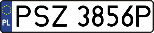 PSZ3856P