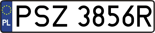 PSZ3856R