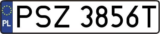 PSZ3856T