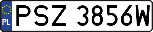 PSZ3856W
