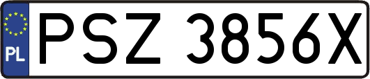 PSZ3856X