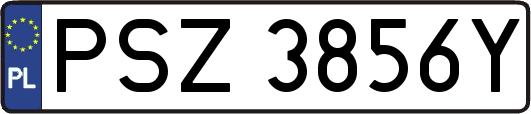 PSZ3856Y