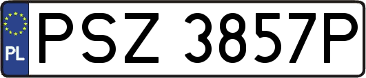 PSZ3857P