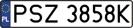 PSZ3858K