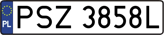 PSZ3858L