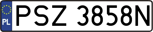 PSZ3858N