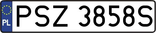 PSZ3858S
