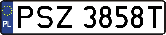 PSZ3858T