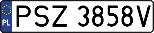 PSZ3858V