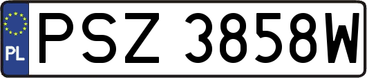 PSZ3858W