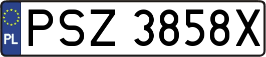 PSZ3858X