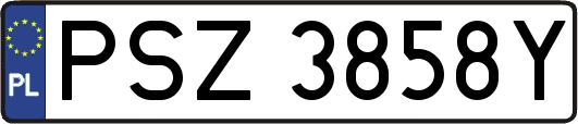 PSZ3858Y