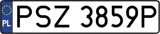 PSZ3859P