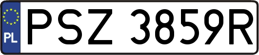 PSZ3859R