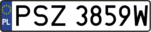 PSZ3859W