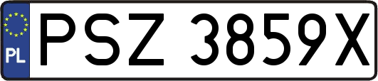 PSZ3859X